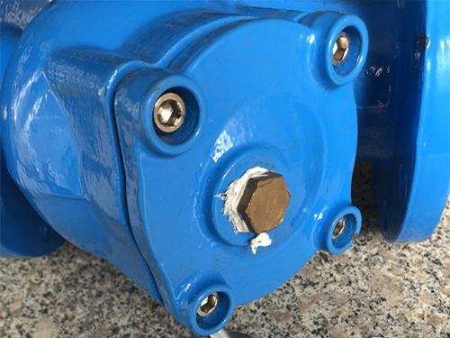 Y型過濾器帶排污口 Y型過濾器帶排污口