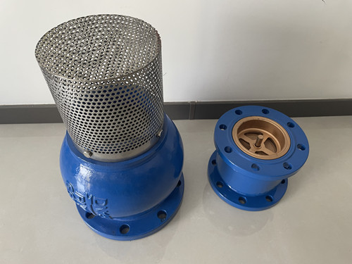 抽水底閥和止回閥進(jìn)水口 抽水底閥和止回閥進(jìn)水口