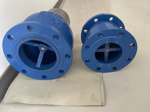 抽水底閥和止回閥出水口 抽水底閥和止回閥出水口