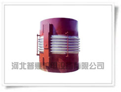 鉸鏈波紋補償器(JY) 鉸鏈波紋補償器(JY)